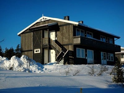 Fjellrypa