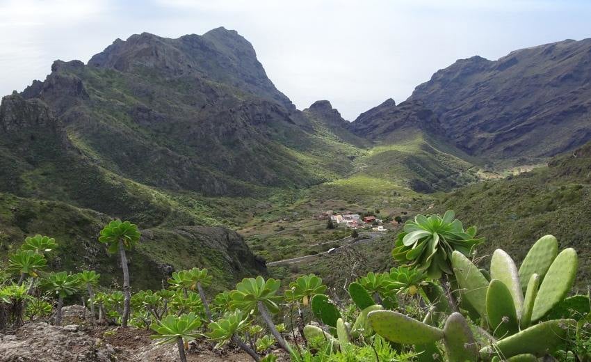 Tenerife – Sol, Hav og Vulkansten