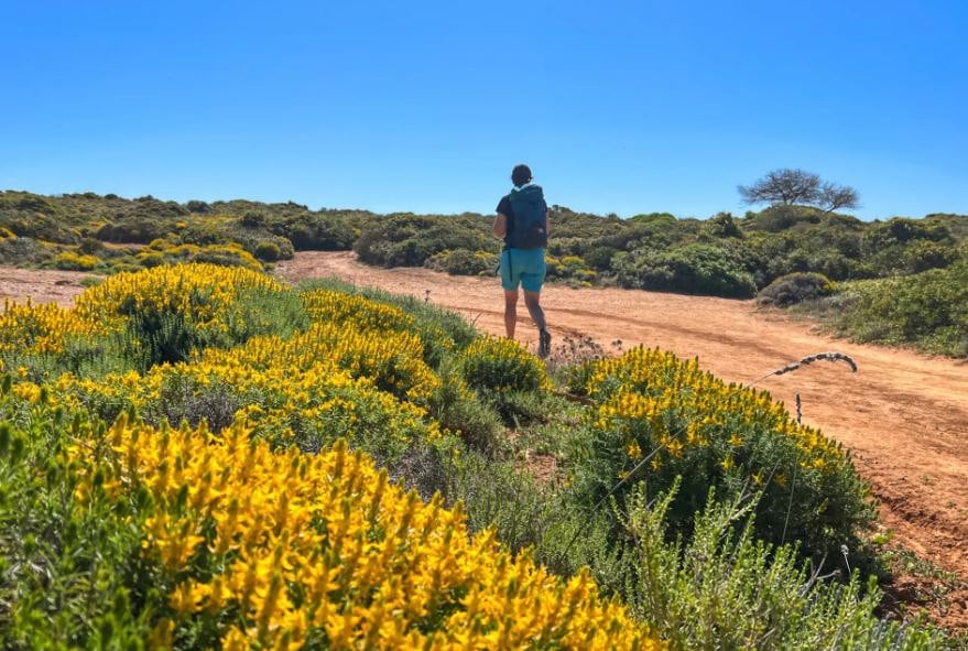 Rota Vicentina - fra Vila Nova de Milfontes til São Luís (Portugal)