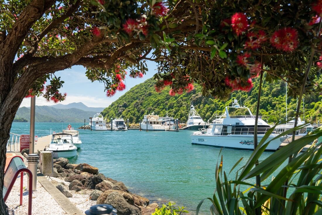 Walk New Zealand's Abel Tasman & Queen Charlotte