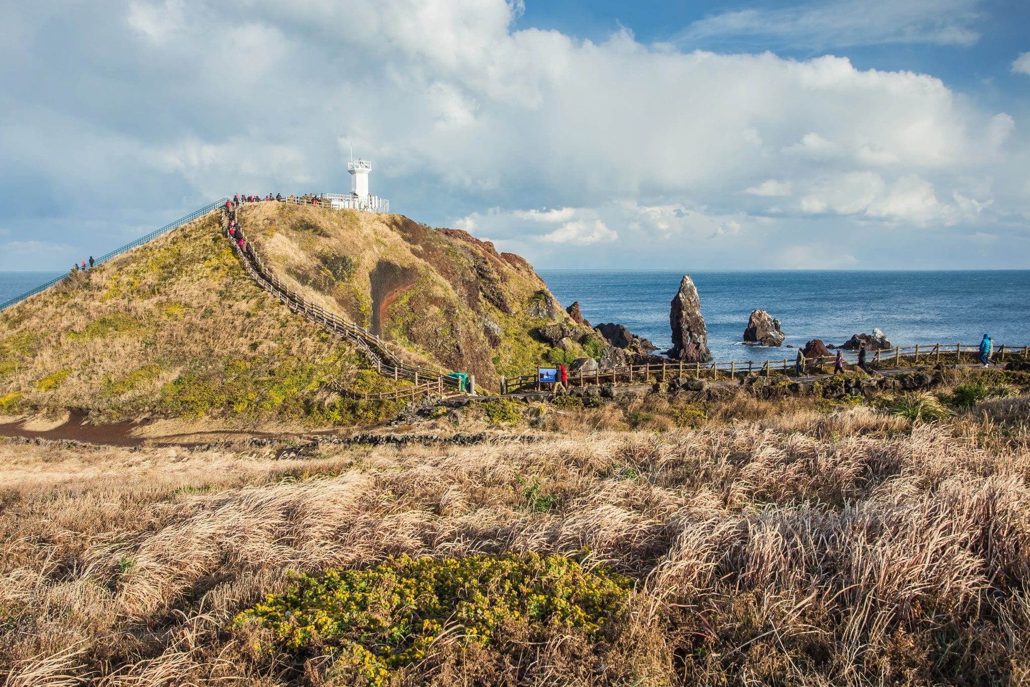Jeju Island Explorer