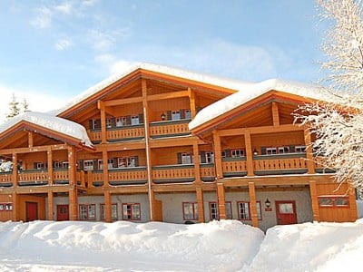 Solbjørnlia