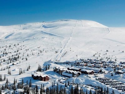 Fjellro