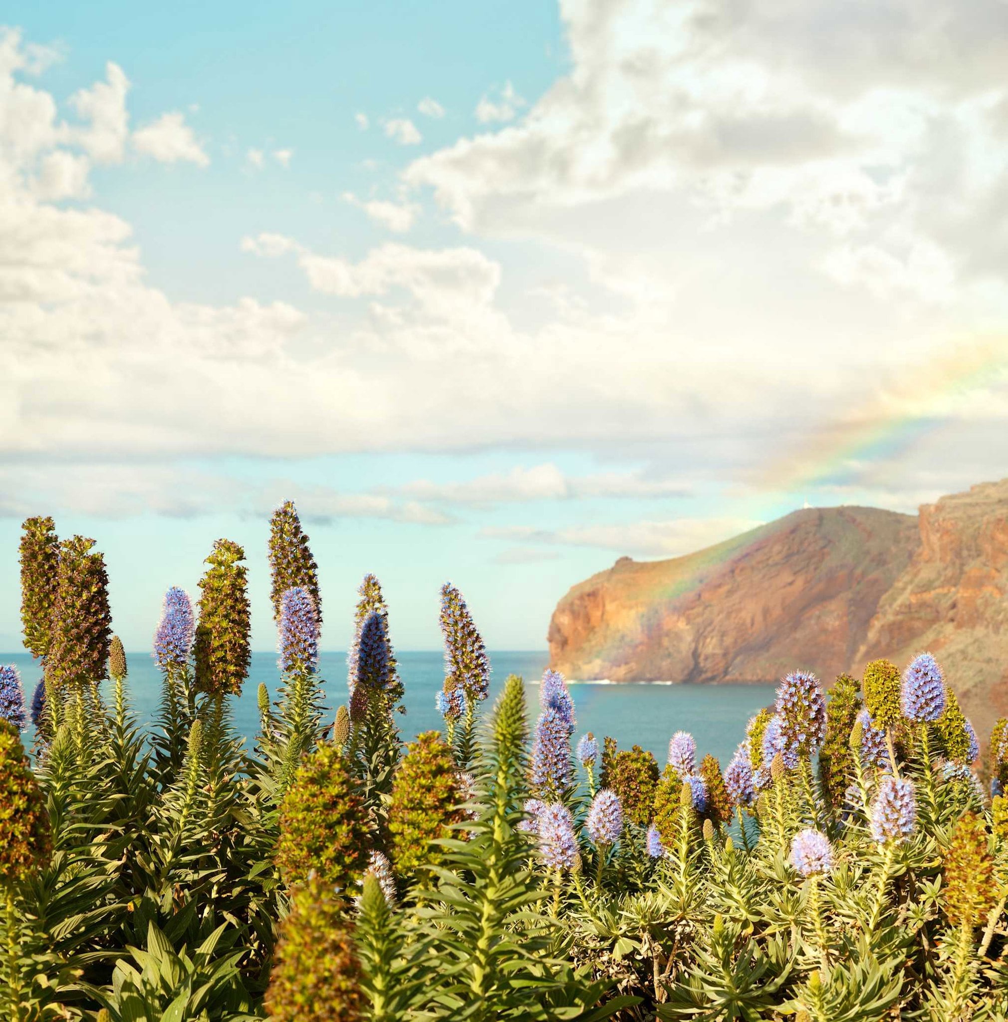 Vandreferie til Madeira med Papuga