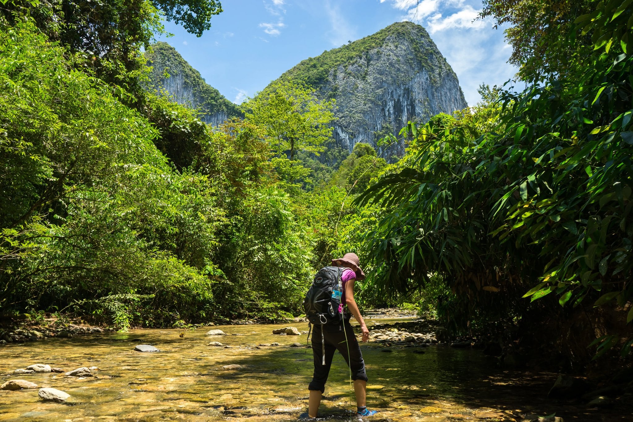 Borneo trekking