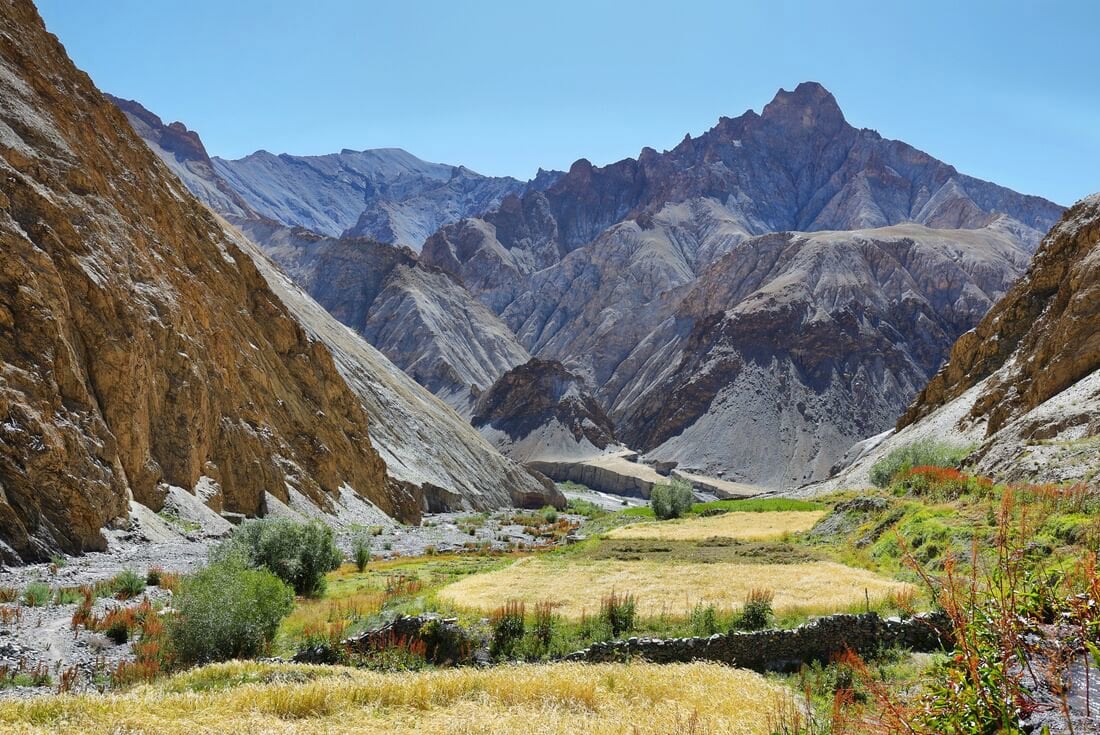 India: Trekking in Ladakh