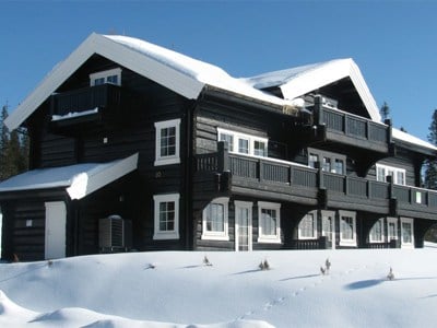 Höken