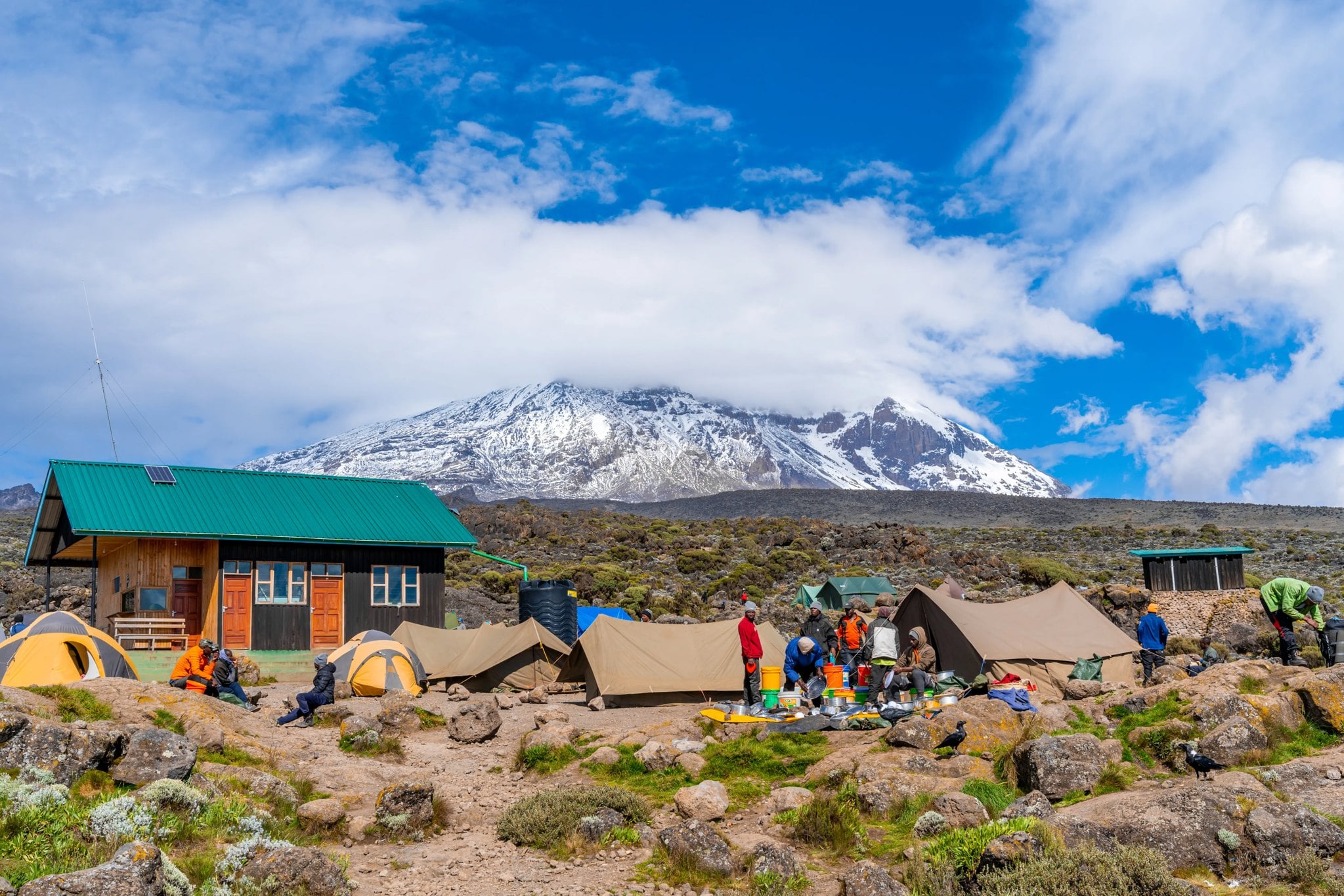 Marangu ruten - Mt. Kilimanjaro