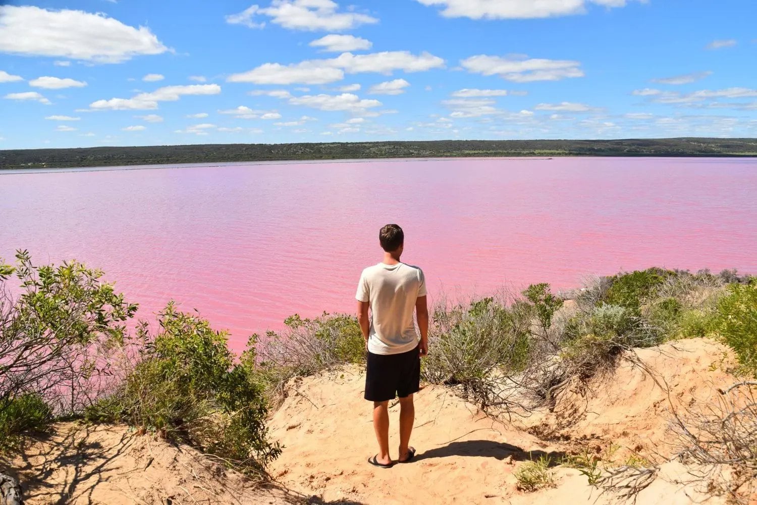 Australiens vestkyst