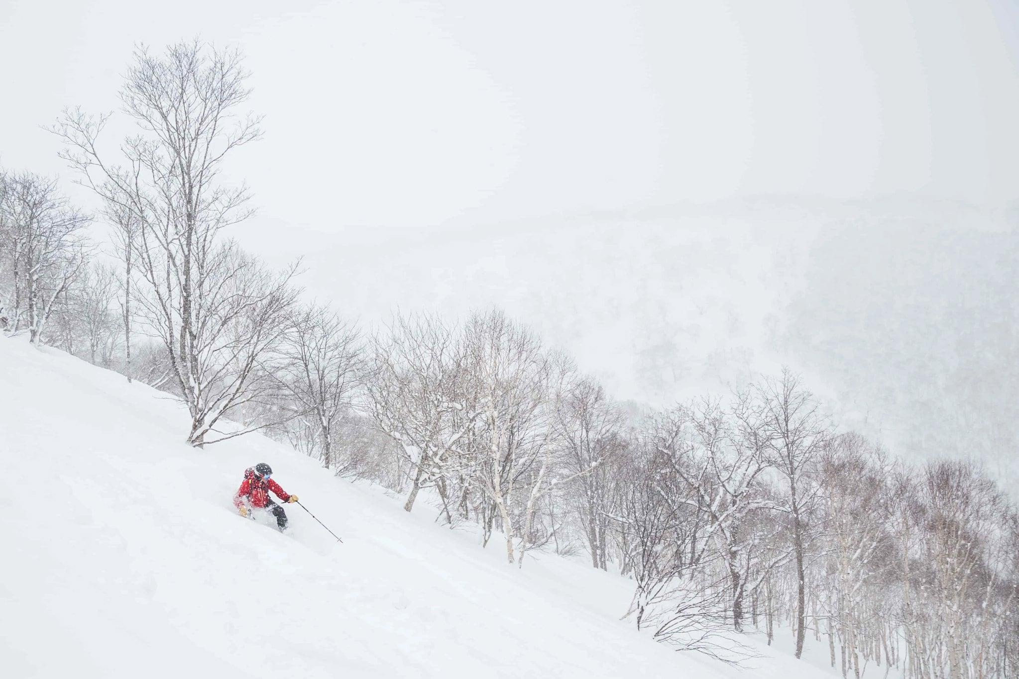 Japan powder guide skirejse