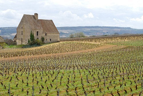 Bourgogne - en vandreferie blandt "Grand Crus"