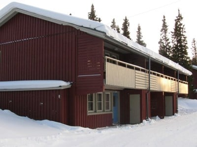 Renen Björnen