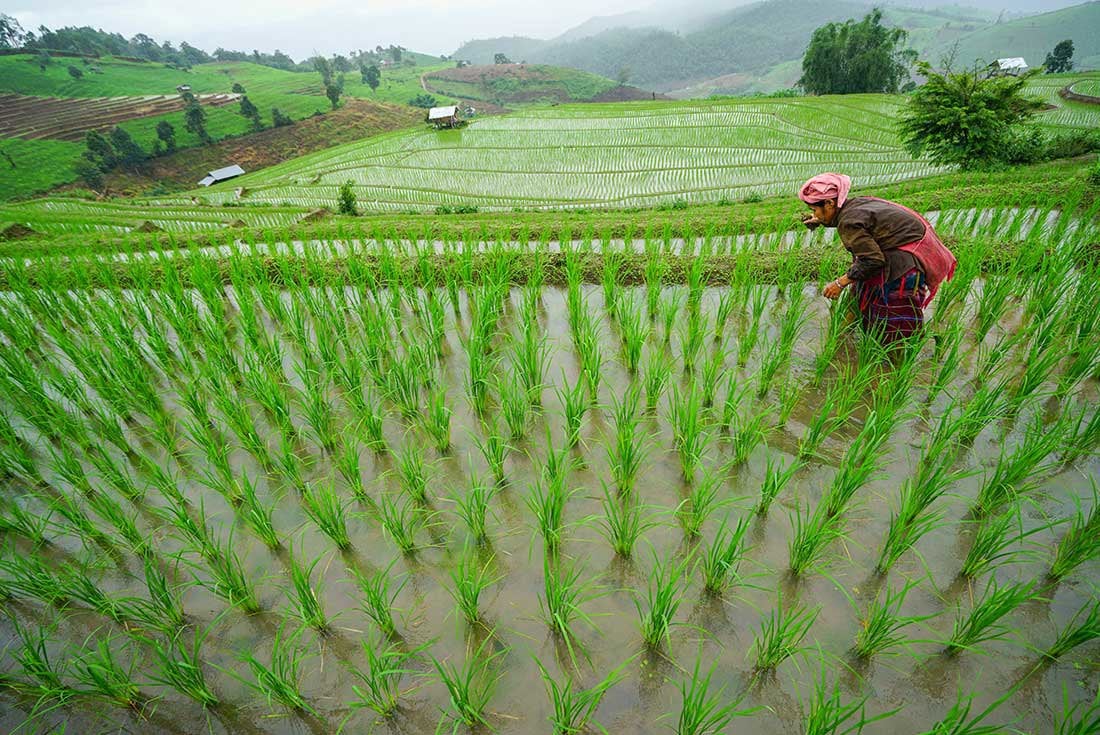 Thailand Independent Short Break: Chiang Mai & Hilltribe Trek