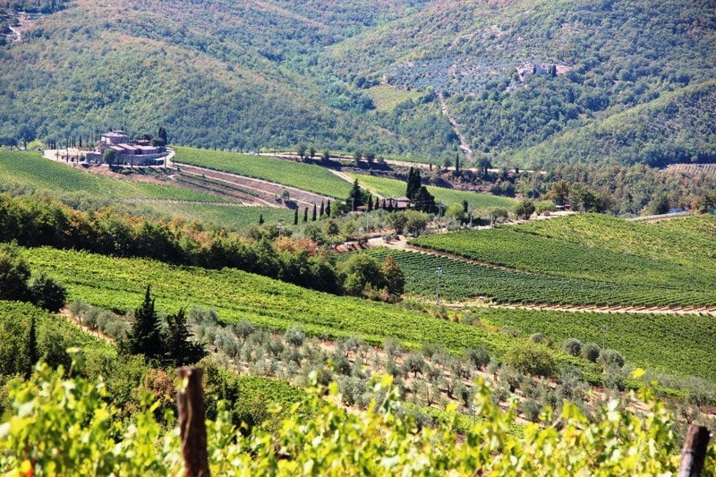 Vandreferie i Chianti regionen, Toscana (Italien)