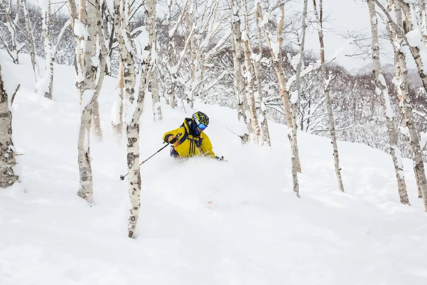 Sydlige Hokkaido - teknik, udfordringer & offpiste