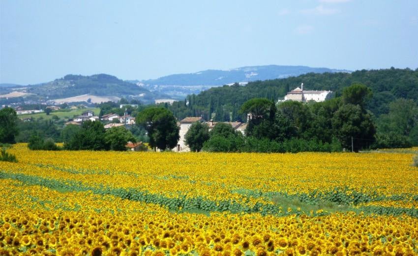 Fra Assisi til Spoleto - en vandreferie på egen hånd i Umbrien, Italien