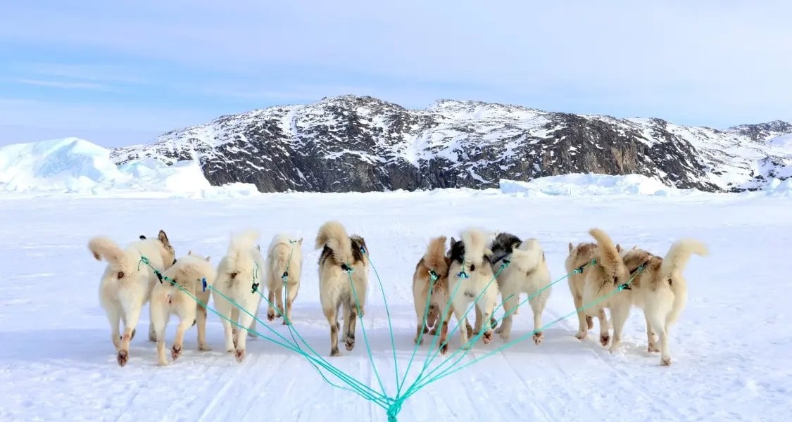 Det ultimative vintereventyr i Ilulissat