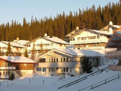 Hermelinen