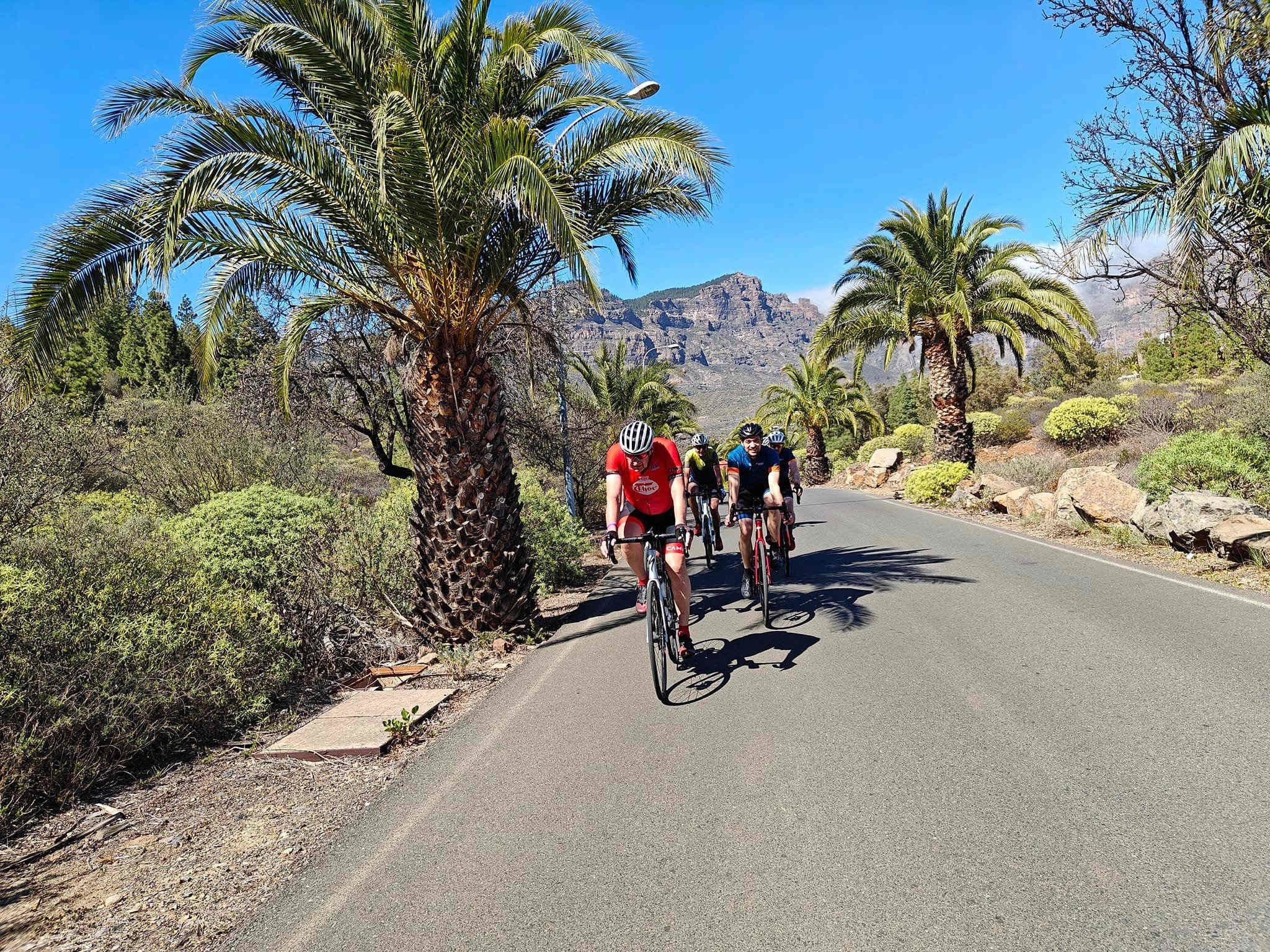Landevejscykling på Gran Canaria med Papuga Holidays