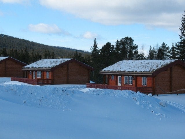 Olarsvängen
