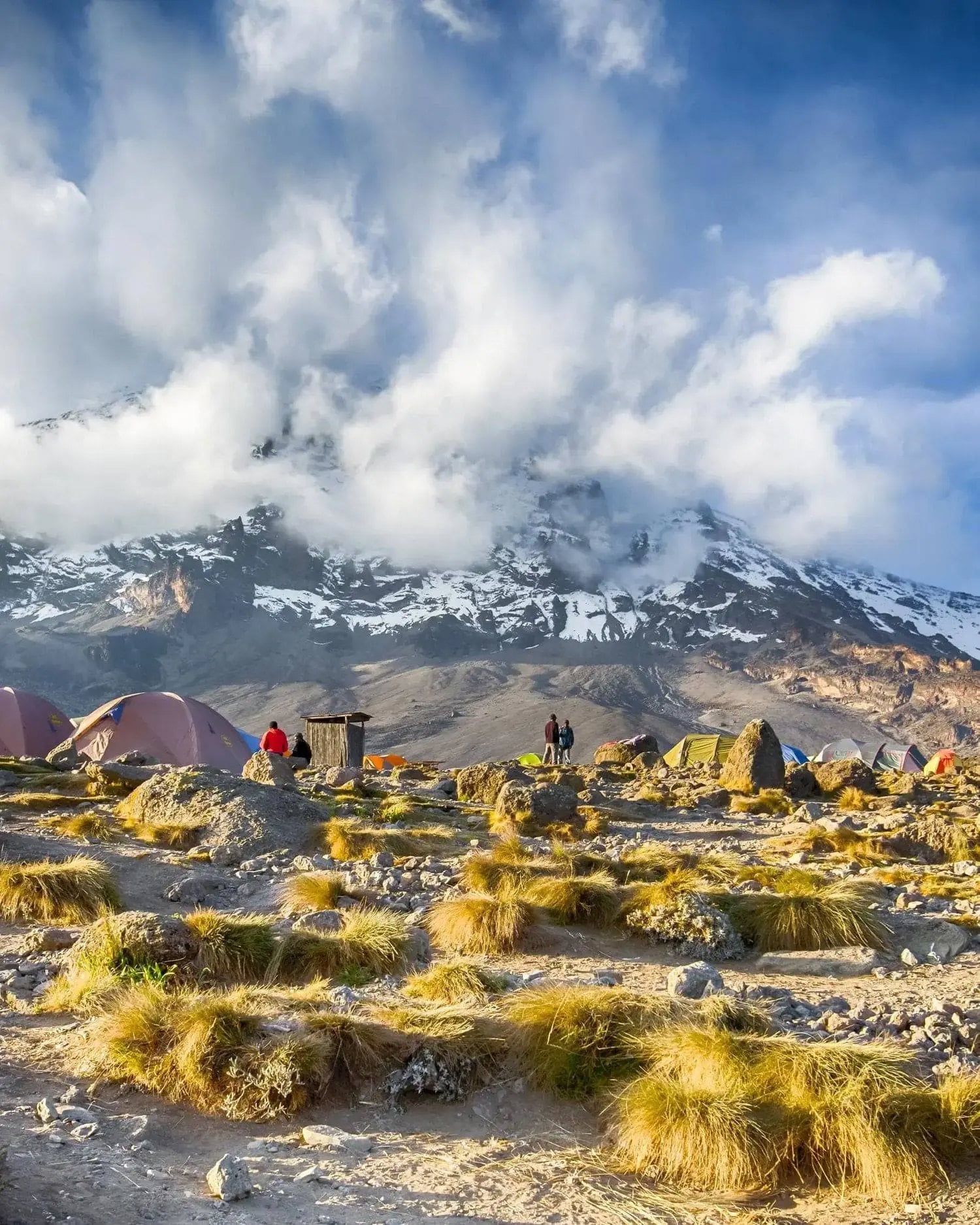 Machame ruten - Mt. Kilimanjaro